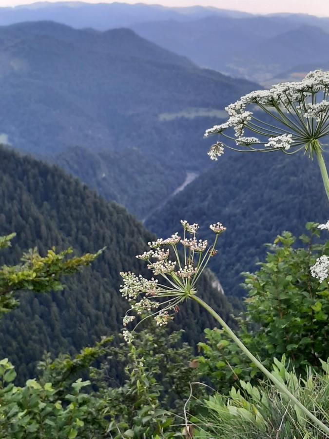 Krasna Chata Maniowy Dış mekan fotoğraf
